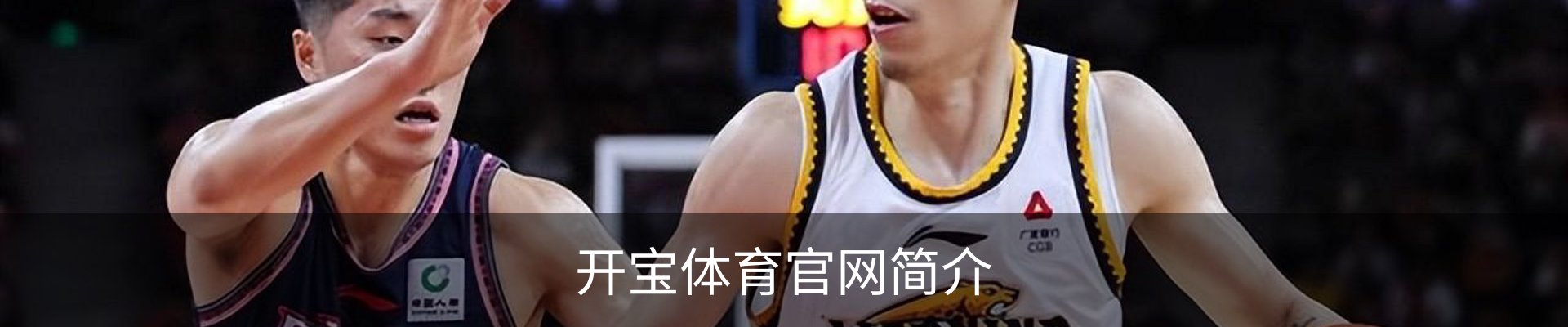 开宝体育官网简介